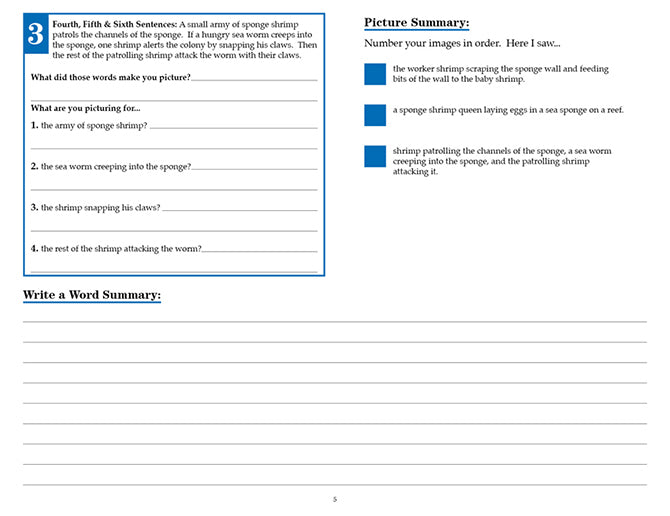 V/V® Comprehension Workbooks - Grade 5