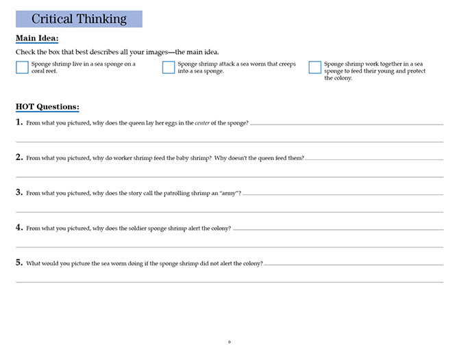 V/V® Comprehension Workbooks - Grade 5