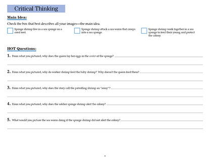 V/V® Comprehension Workbooks - Grade 5