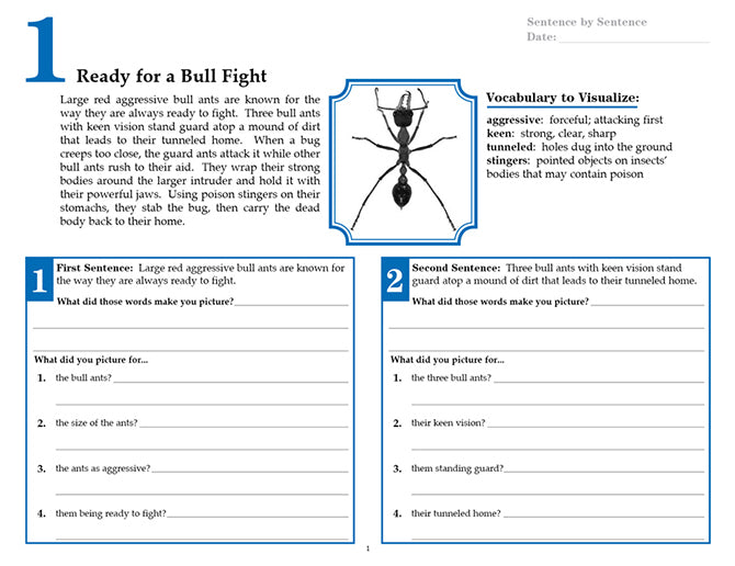 V/V® Comprehension Workbooks - Grade 6