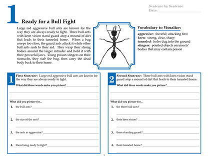 V/V® Comprehension Workbooks - Grade 6