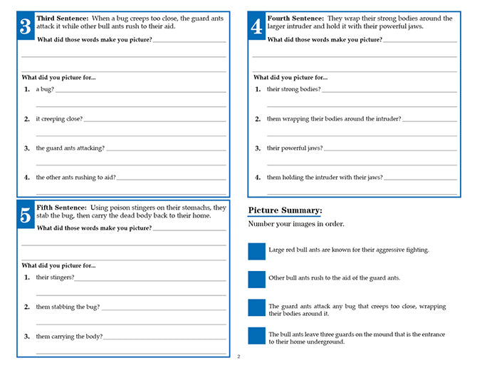 V/V® Comprehension Workbooks - Grade 6