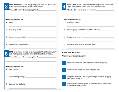 V/V® Comprehension Workbooks - Grade 6