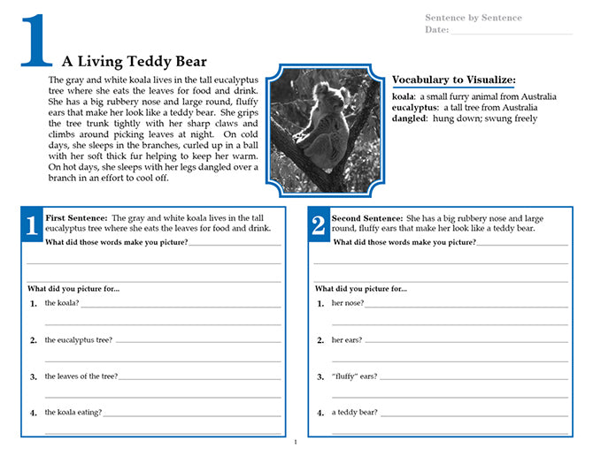 V/V® Comprehension Workbooks - Grade 6