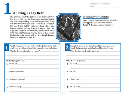 V/V® Comprehension Workbooks - Grade 6