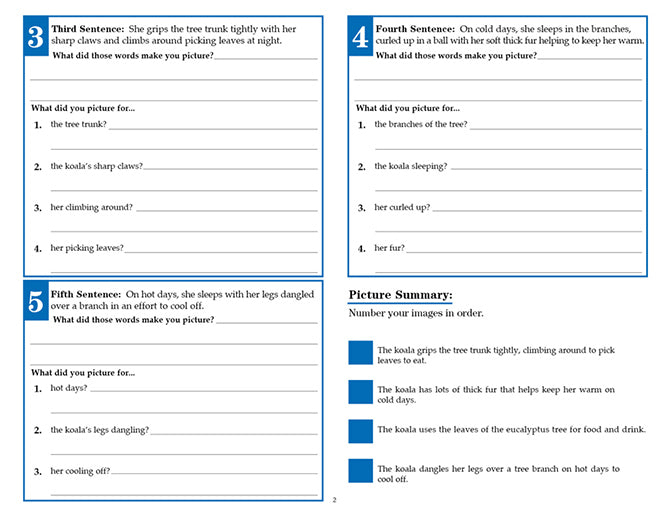 V/V® Comprehension Workbooks - Grade 6