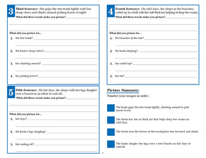 V/V® Comprehension Workbooks - Grade 6