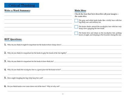 V/V® Comprehension Workbooks - Grade 6