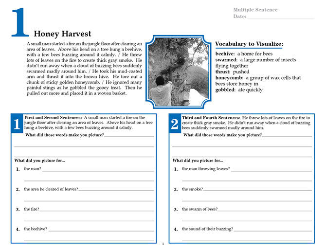 V/V® Comprehension Workbooks - Grade 6