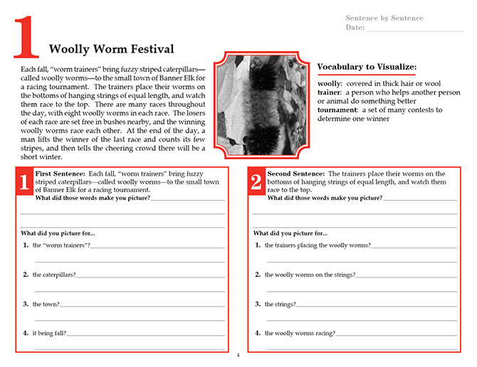 V/V® Comprehension Workbooks - Grade 6