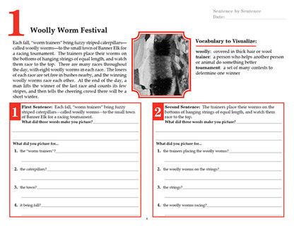 V/V® Comprehension Workbooks - Grade 6