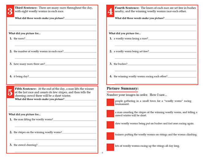 V/V® Comprehension Workbooks - Grade 6