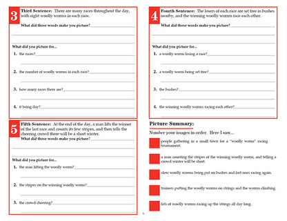 V/V® Comprehension Workbooks - Grade 6