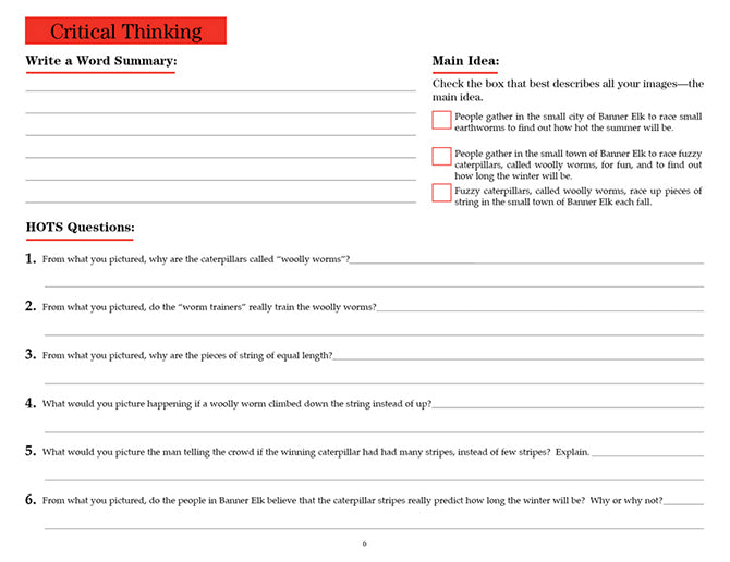 V/V® Comprehension Workbooks - Grade 6