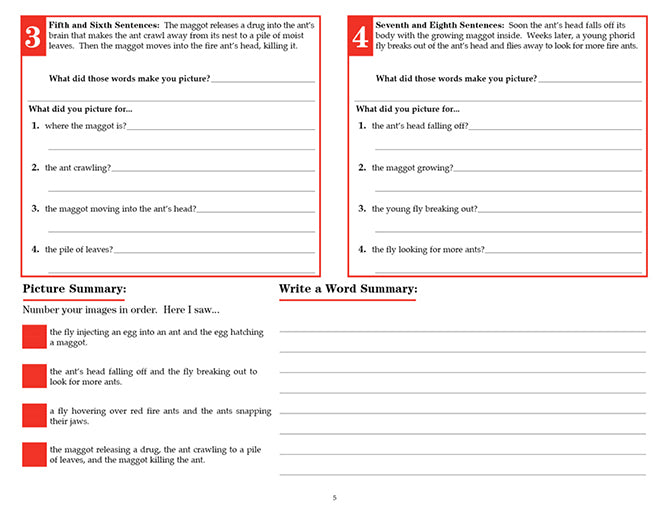 V/V® Comprehension Workbooks - Grade 6