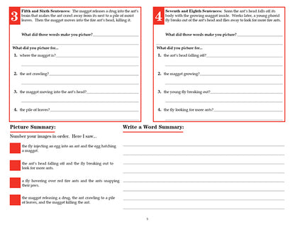 V/V® Comprehension Workbooks - Grade 6