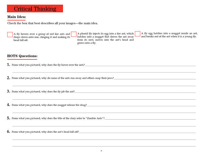 V/V® Comprehension Workbooks - Grade 6